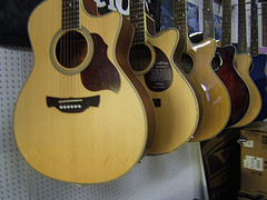 Acoustic electrics